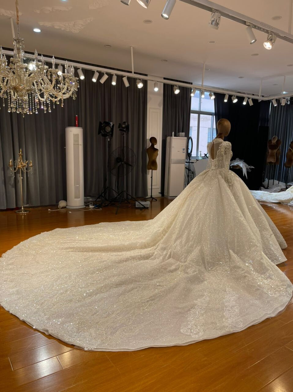 Stunning V Neck Princess Full Ballgown Sparkley Rhinestones Wedding Dress Bridal Gown Long Sleeves Lace Appliqued Illusion Sides Pleates