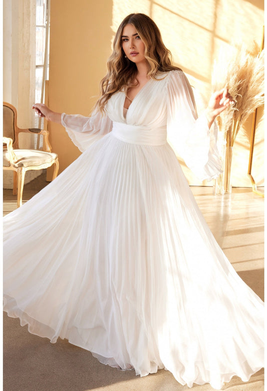 Beautiful Unique Sophisticated Long Wide Sleeve Pleated Chiffon Aline Dress V Neckline Wedding Dress Bridal Gown Open V Shape Back Pleated