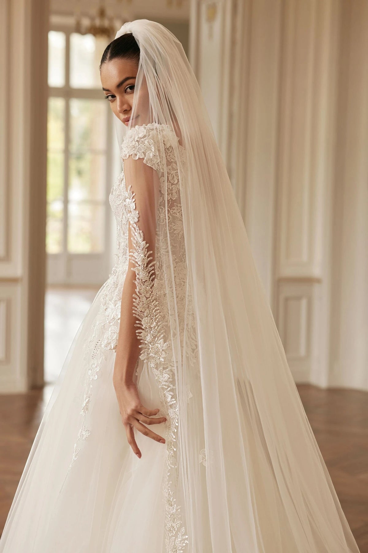 Princess Aline Short Cap Sleeves Translucent Bodice Deep V Neckline Floral Wedding Dress Bridal Gown 3D Flowers